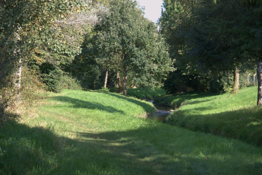 Land-Hotel Zum Schwan, Garni Weilerswist-Metternich, 3 E-Ladestationen, Naehe Phantasialand, Palmenparadies Euskirchen Экстерьер фото